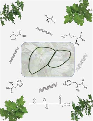 Editorial: Nonalcoholic fatty liver disease: From pathogenesis to phytomedicine based on omics technology